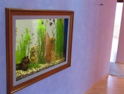 Imaginea acvariului - o soluție neobișnuită pentru un interior modern