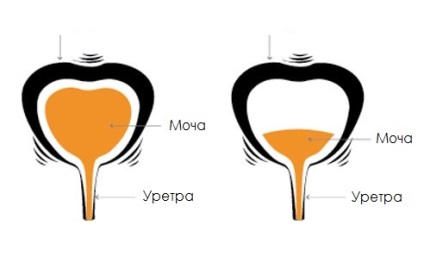 Alfa-adrenoblocanții și alte medicamente utile cu prostatită