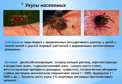 Alergia provoacă mușcături de insecte, simptome și tratament