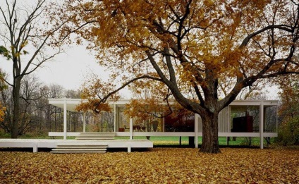 Arhitect Ludwig Mies van der Rohe, Arhitectură