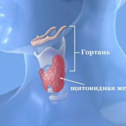 Tiroidită autoimună și infertilitate - bisturiu - informații medicale și portal educațional