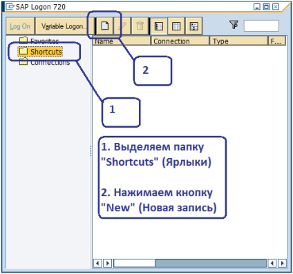 Programarea blogurilor - crearea unei intrări rapide a parolei în sistemul sap erp de pe partea clientului