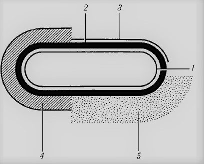 Regatul Bacteriilor