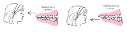 Centrul de ortodonție la prețurile de la Moscova pentru serviciile ortodontice din soluțiile dentare clinice