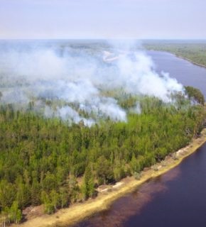 Fumatul incendiilor forestiere este periculos pentru a conduce Yakutia