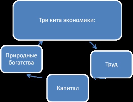 Ceea ce învață economia