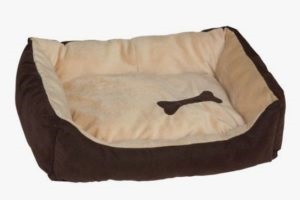 Ce să faci dacă câinele rupe în mod constant lenjeria de pat, canisa de câine este un labrador