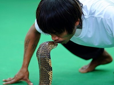 Ce să vezi în Pattaya