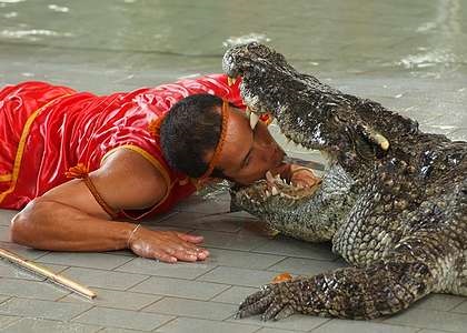 Ce să vezi în Pattaya