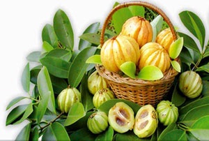 Ce este Garcinia Cambodian