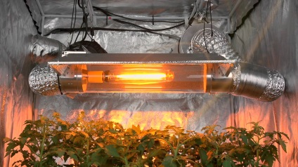 Cooltube și alte metode de lămpi de răcire - consumul de canabis în casă
