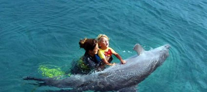 Delfinii nu sunt vindecători - studiile se referă la delfini