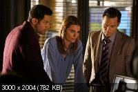 Bloguri - stana katic - nathan fillion community