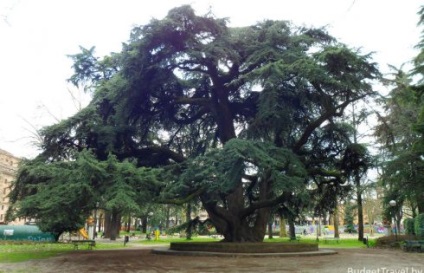 Atracții Reggio Emilia