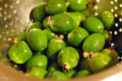 Feijoa - un fruct nu numai gustos, dar, de asemenea, util