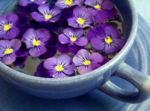 Caracteristici violente cu trei culori violete în medicina populară