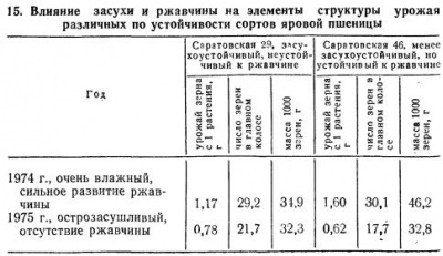 Formarea boabelor de grâu - totul despre tehnologia produselor de panificație