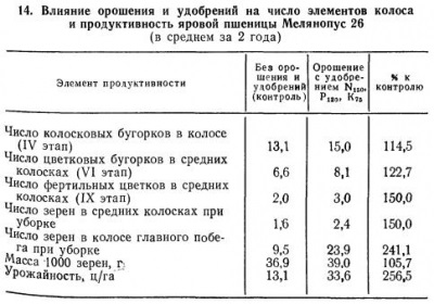 Formarea boabelor de grâu - totul despre tehnologia produselor de panificație