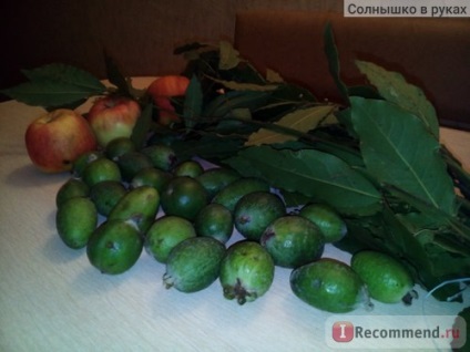 Fructe de feijoa - 