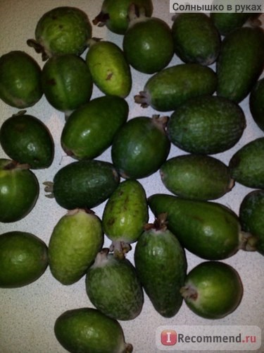 Fructe de feijoa - 