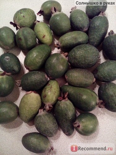 Fructe de feijoa - 