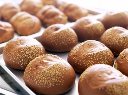 A kenyérvezető a legártalmasabb, leginkább hasznos és ízletes