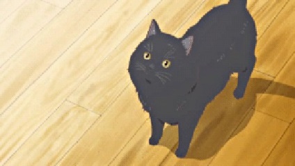 Gif Animatie fata cu pisica de la anime kanojo la kanojo no neko