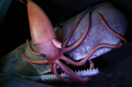 Giant squid sau arhitectoită (lat