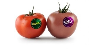 Produse Gmo - o valoare pentru o persoană