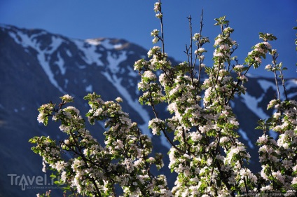 Mount Казбек, села и Stepantsminda Gergeti