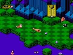 Game Snake Rattle енд рол на денди - сваляне на игри денди безплатни онлайн игри за NES dendy емулатор