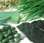 Informații despre Chlorella Microalgae