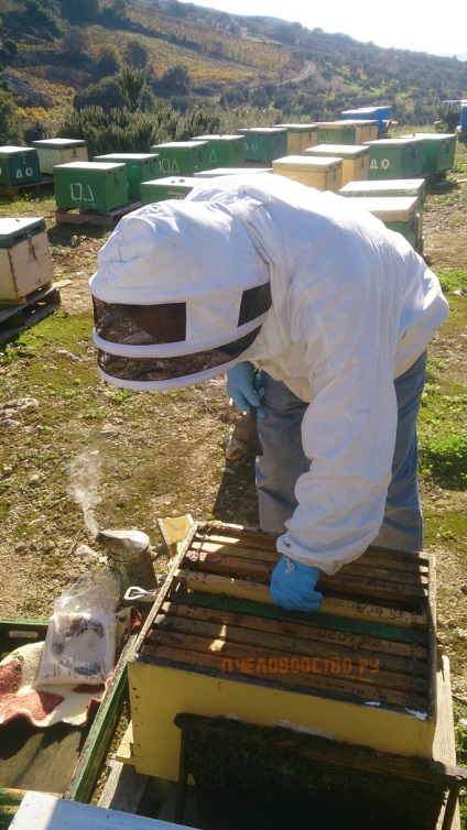 Interviu cu apicultorul grec de pe insula Creta