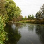 Izhora, az Izhora folyó (folyó) Izhora, az Izhora folyó