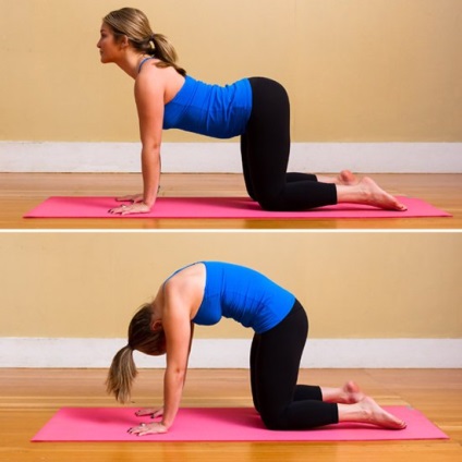 Yoga pentru complexul din spate al exercițiilor pentru începători pentru întărirea mușchilor dorsali