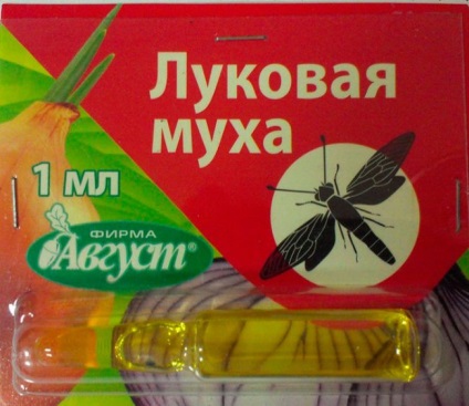 Як боротися з лушпиння мухою на грядці і в теплиці хімікатами і народними засобами - eтепліца