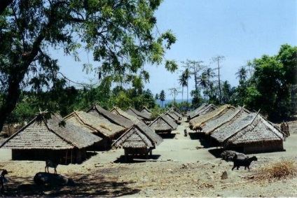 Ce fel de divertisment există în Lombok decât să vă ocupați în vacanță