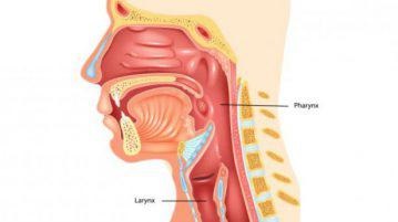 Hogyan kezeljük a pharyngitis otthon a felnőttek gyorsan népi jogorvoslatok, akut és