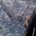 Hogyan keressünk kacsaokat a vadászatról - a vadászatról és a halászatról Oroszországban és külföldön