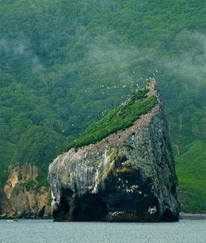 Ce este, Kamchatka 20 fotografii - toate distracțiile!