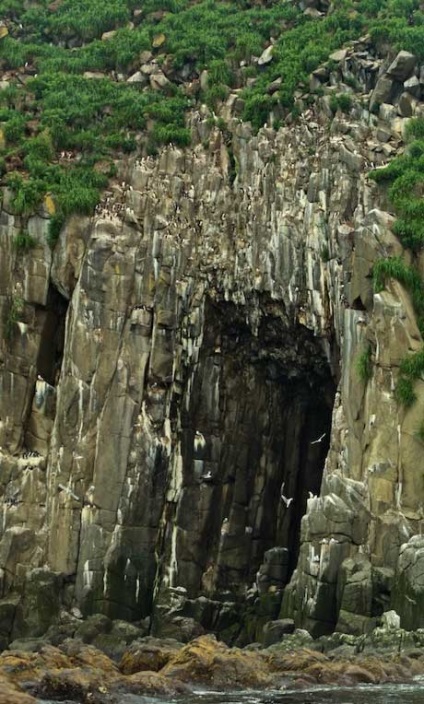 Ce este, Kamchatka 20 fotografii - toate distracțiile!