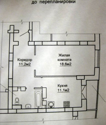 Как мога да конвертирате залата в кухнята - подробно описание на собственика със снимки