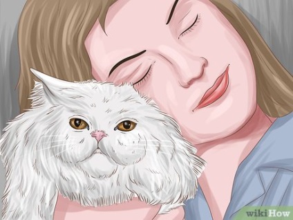 Cum sa faci prieteni cu o pisica