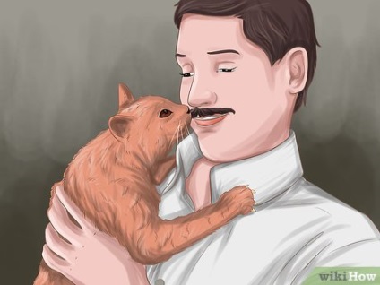 Cum sa faci prieteni cu o pisica
