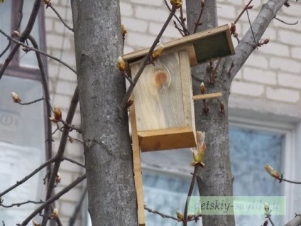 Cum să faci o pasăre, când și cum să atârgi o pasăre, un loc pentru copii