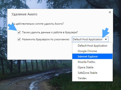 Cum să dezinstalați complet browserul Amigo de pe computer