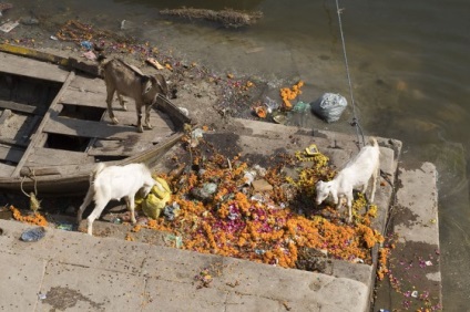 Cum oamenii îngropă oamenii în India