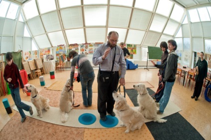 Kanis terapie om și câinele său - un bun exemplu - conștiință - interesant - Labradori Sochi