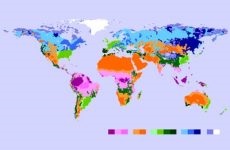 Az éghajlat és annak szerepe az emberi életben, mi az éghajlat és hogyan alakul ki