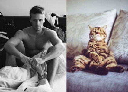 Pisici și pisici în imaginea modelelor (29 fotografii)